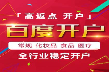 百度SEO推广公司案例分享：行业佼佼者经验